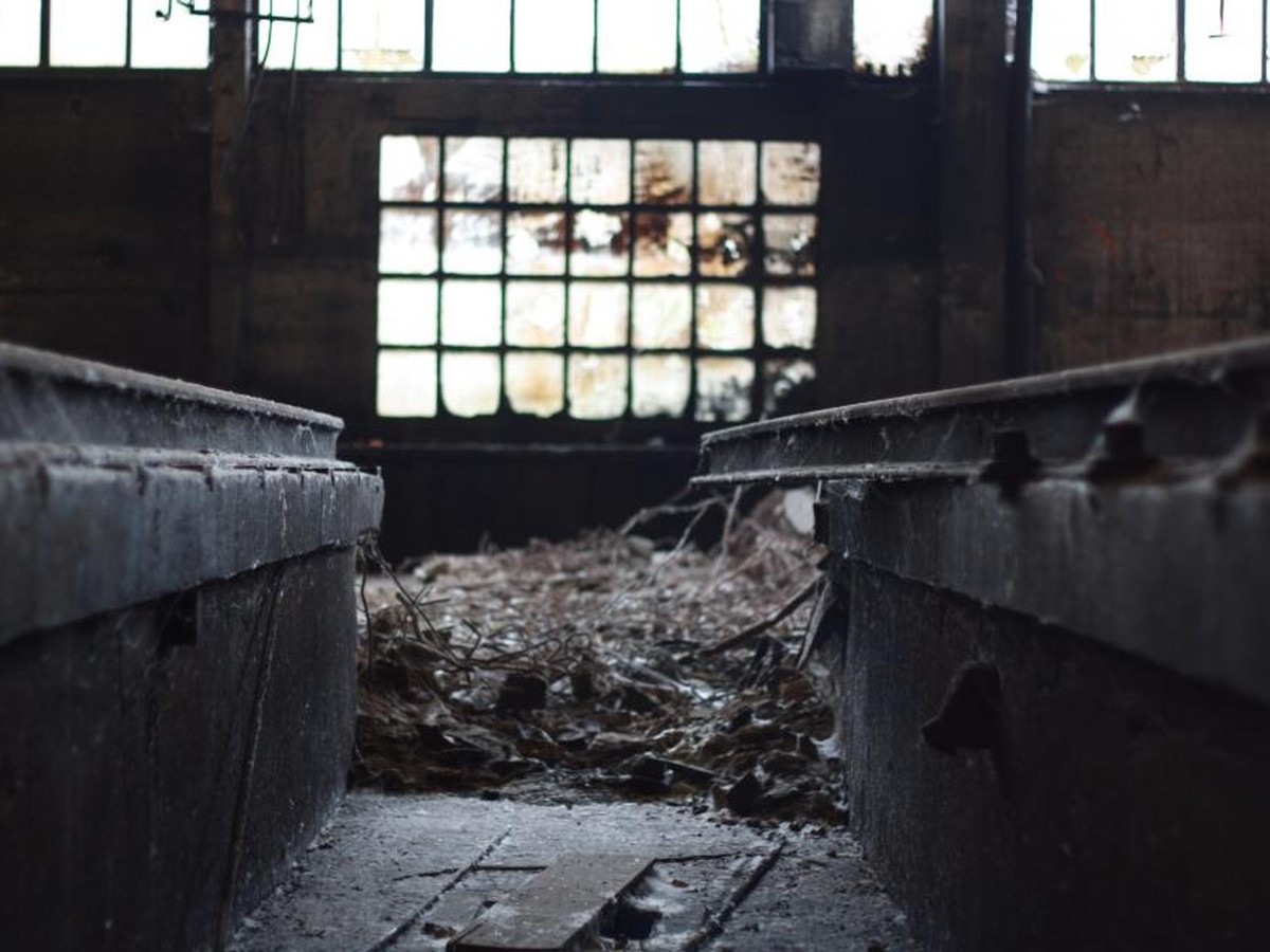 Warehouse Windows