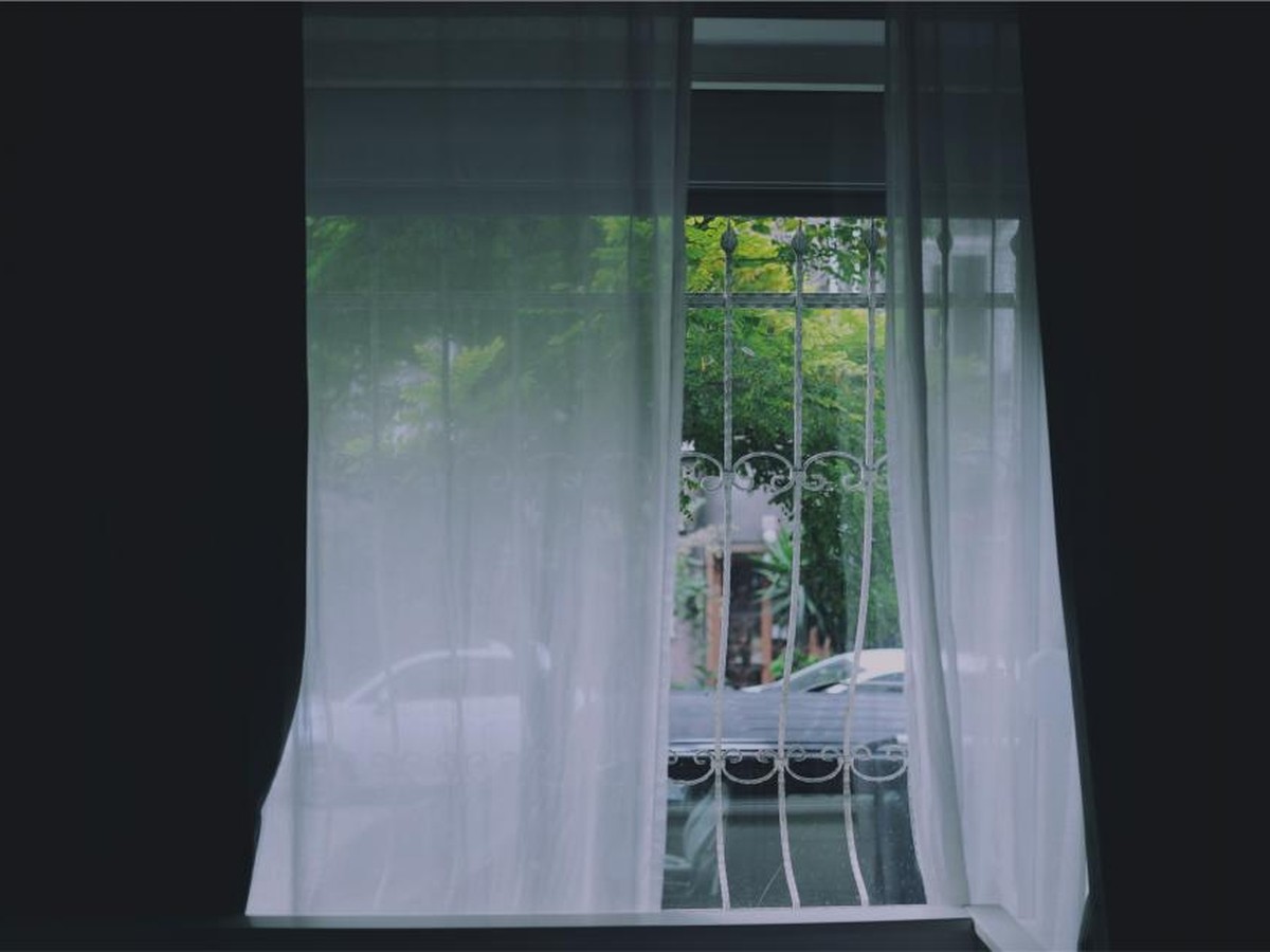 Curtains Window