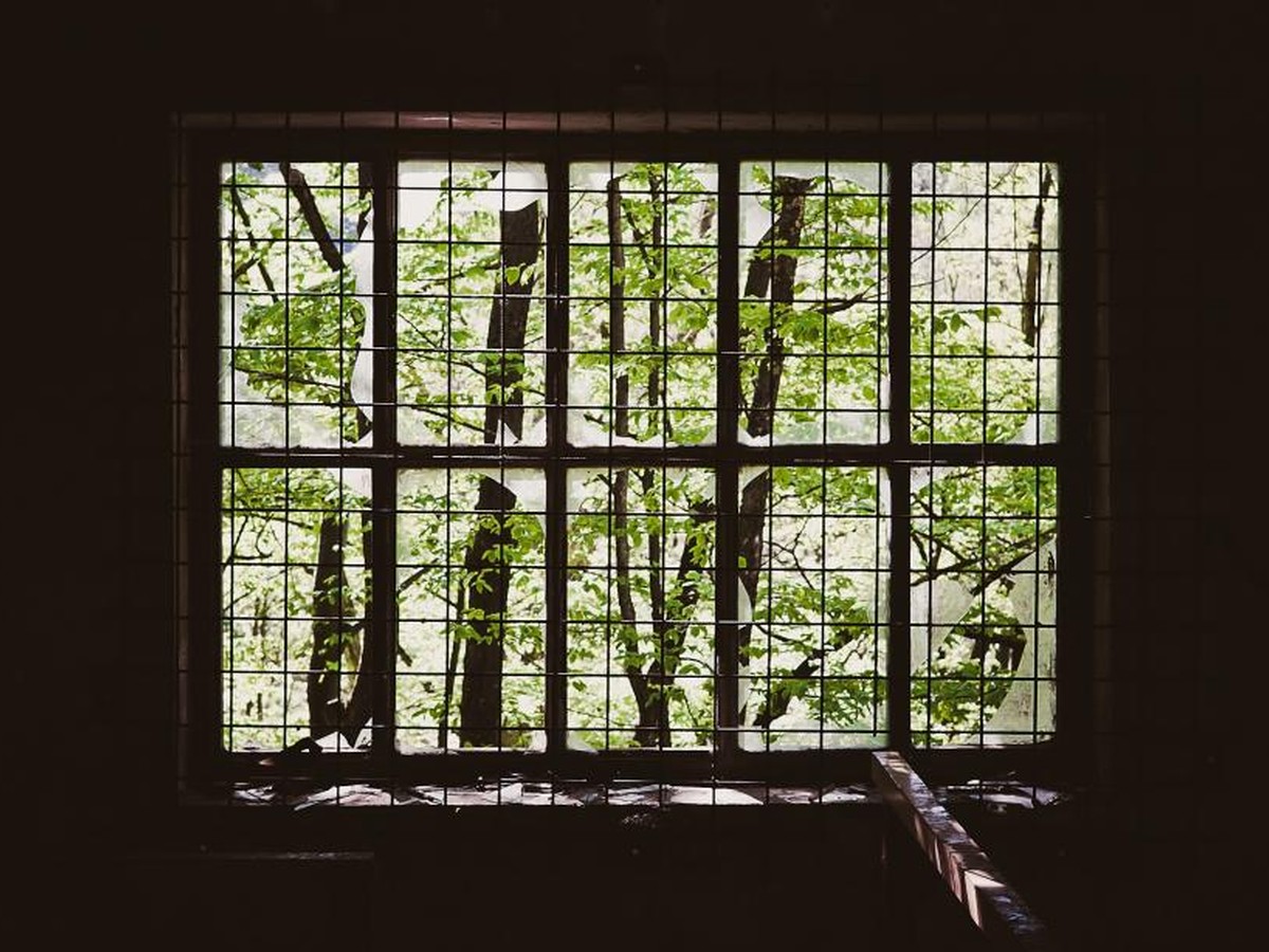Editorial photograph for Interior & Exterior Window Cleaning vs. DIY in Hanalei: Which Approach Fits?