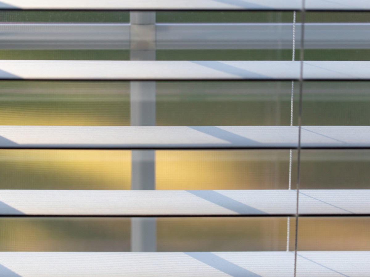 Window Blinds